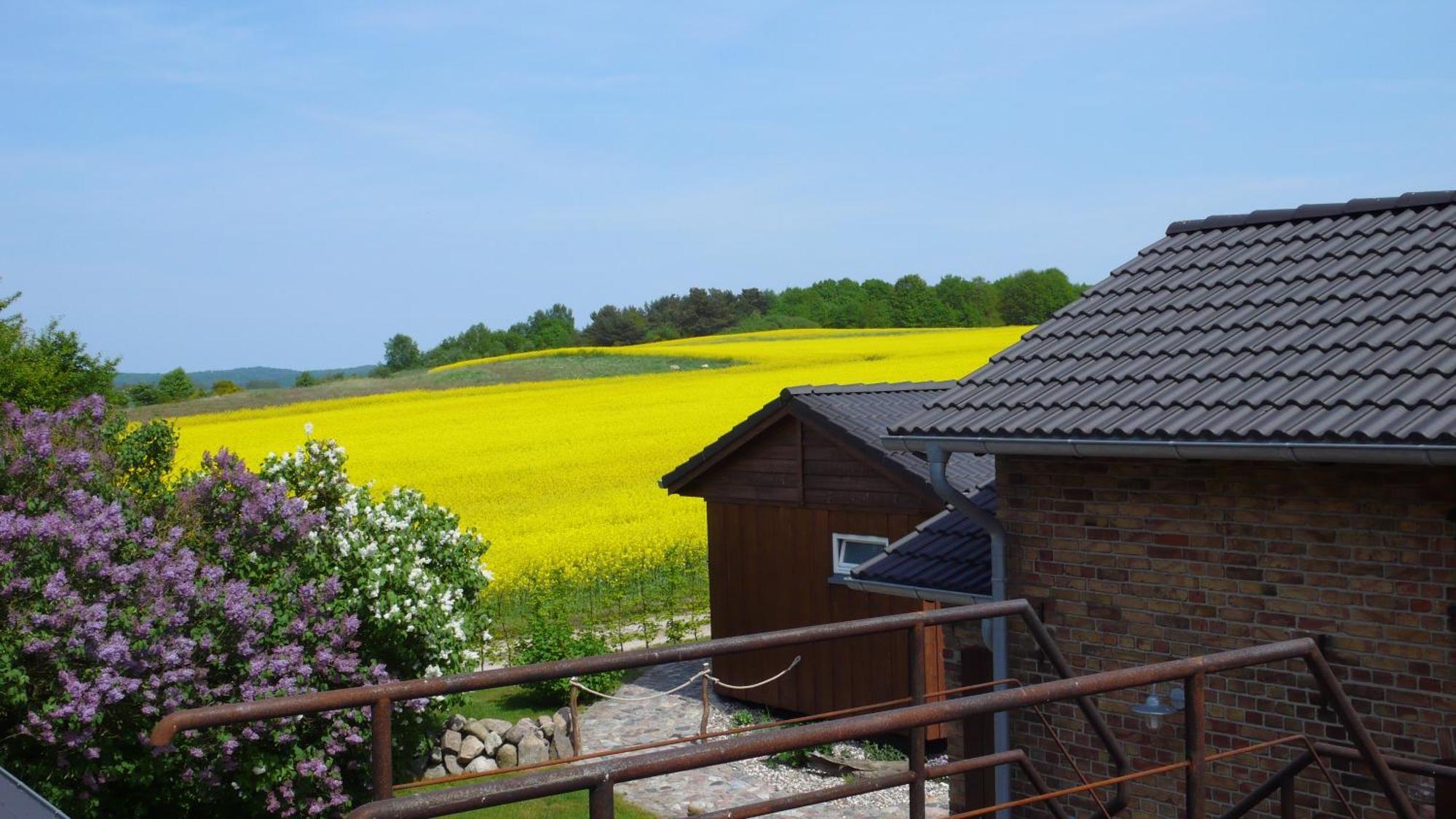 Appartamento Vogelhaus Gobbin Lancken-Granitz Esterno foto