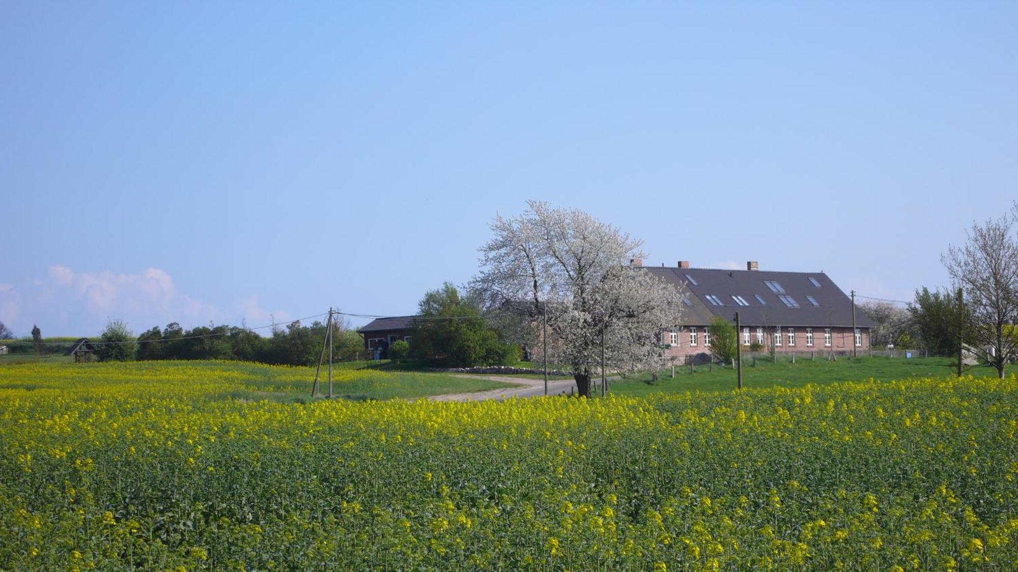 Appartamento Vogelhaus Gobbin Lancken-Granitz Esterno foto